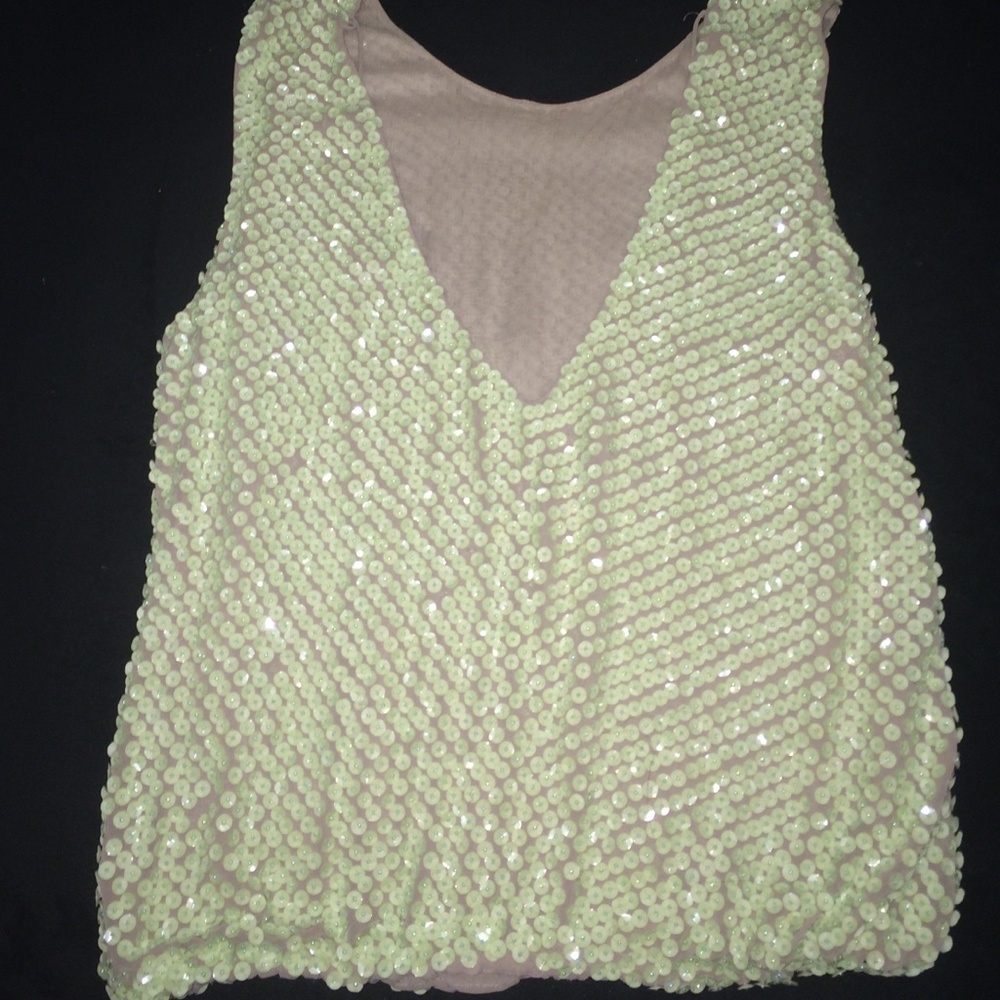 Pastel Green sequin top over silk chiffon fabric